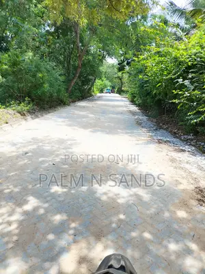 3 Acre Tiwi Plot