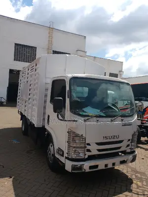 Isuzu 2024 White