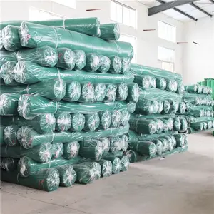 Scaffolding Safety Net/Construction Net