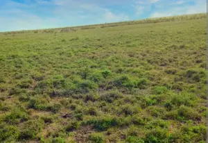 Isinya Springs Mixed Use Land