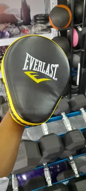Everlast Boxing Gloves in Pairs