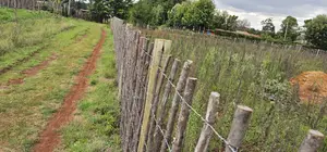 1⁄4 Plot for Sale in Kaptuli Chembulet Dispensary Eldoret