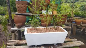 White Bamboo Concrete Troughs,Flower Pots