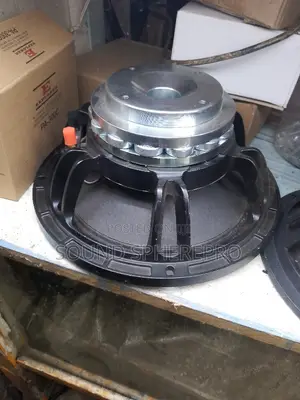 Neodymium 10 Inch Mid Range Speaker