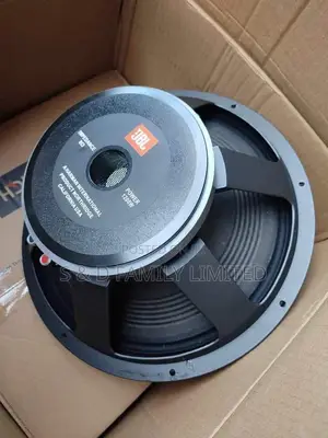15 Inch Naked Speaker JBL