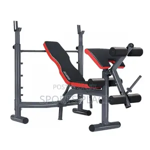 Multifunctional Bench With Preacher Curl and Leg Extensions