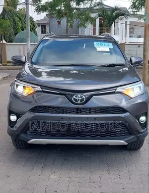 Toyota RAV4 2017 Gray