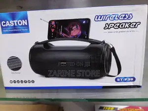 Powerful Caston ST-F39 Wireless Bluetooth Speaker