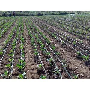 Drip Line -Flat,. 1000meters Long.