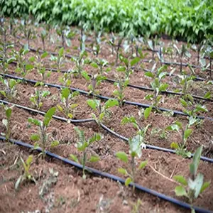 Drip Line Irrigation Pipe. 0.3mm Thickness