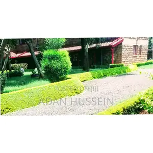 Lawn Care and Hedge Trimming Services
