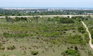 Dongo Kundu Bypass Prime Land! 