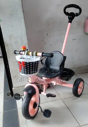 Kids Push Handle Tricycle Pink in Color