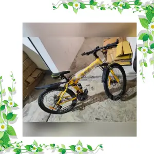 Foldable Bike