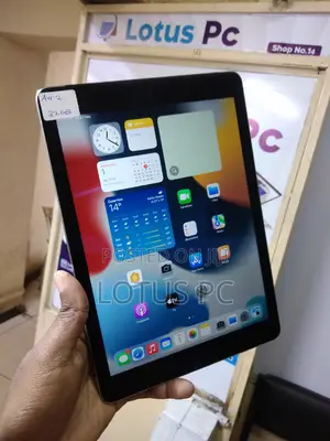Apple iPad Air 2 32 GB Gray
