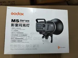 Godox Ms300 Studio Flash Head