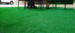 Grass Carpet Grass Carpet Grass Carpet Grass Carpet Grass