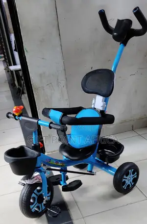 Kids Push Handle Tricycle