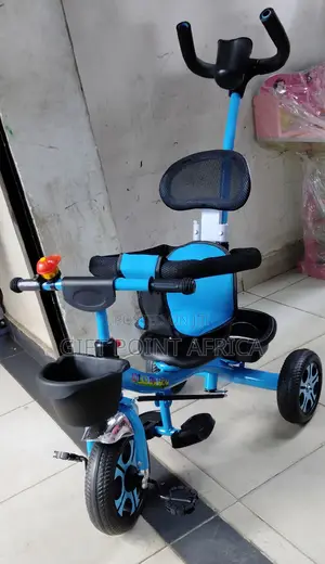 Blue Push Handle Kids Triacycle
