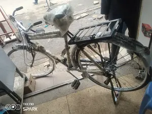 Original Neelam Bike Size 26