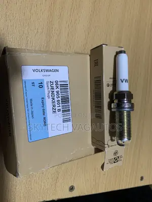 Volkswagen Audi Plugs