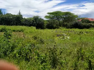 Half an Acre in Ongata Rongai, Rimpa Near the Tarmac