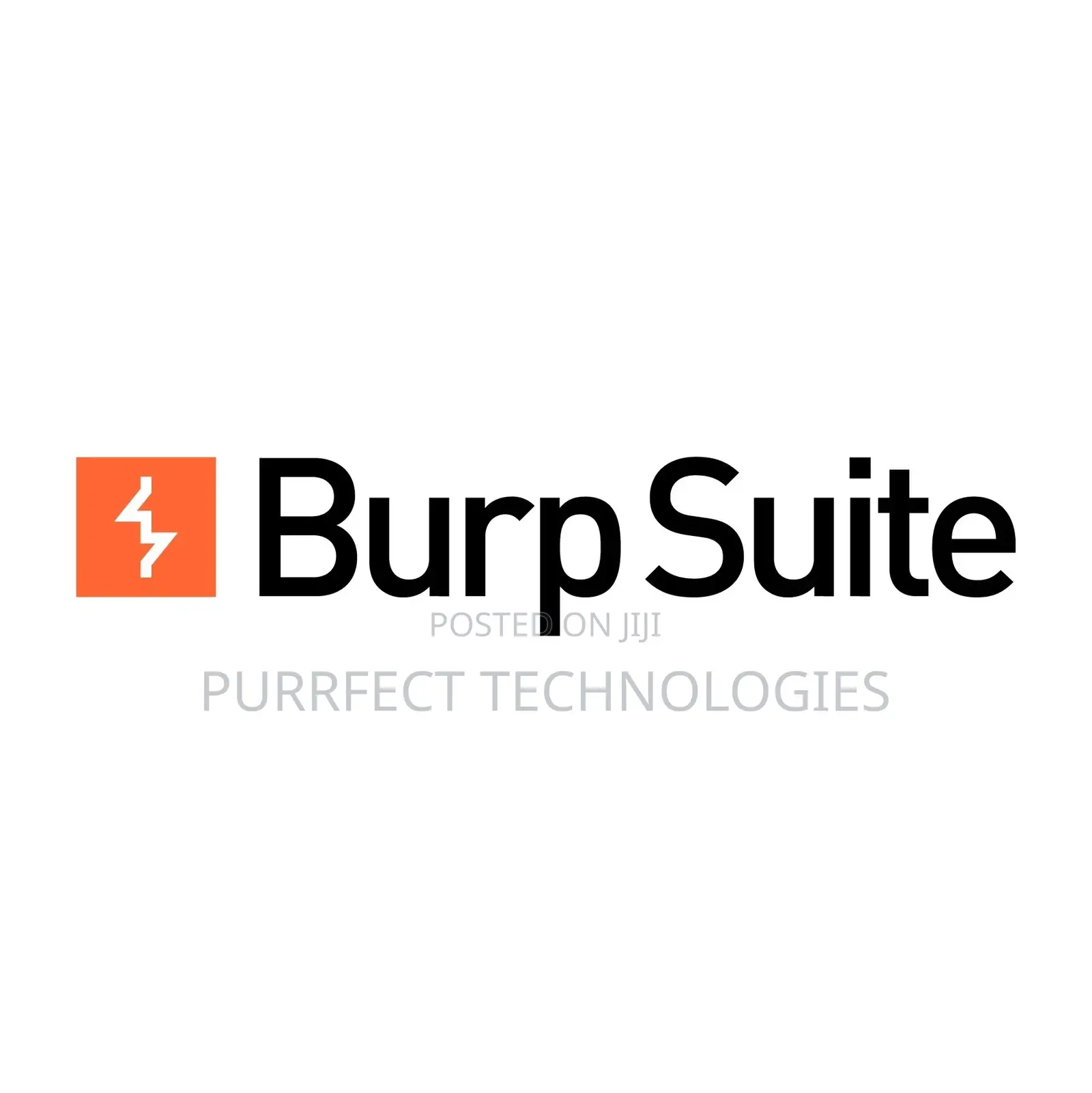 Burp Suite Professional 2025