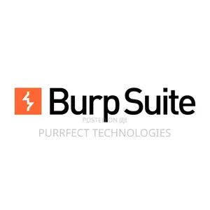 Burp Suite Professional 2025