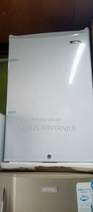 Upright Freezer 100L
