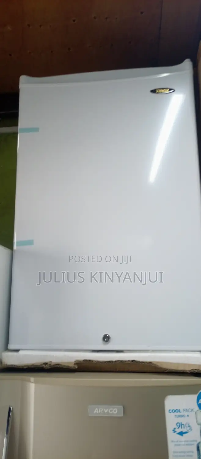 Upright Freezer 100L