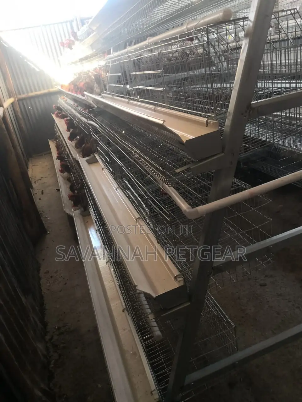 A-Type Customized Layer Chicken Cage for 64 Layers