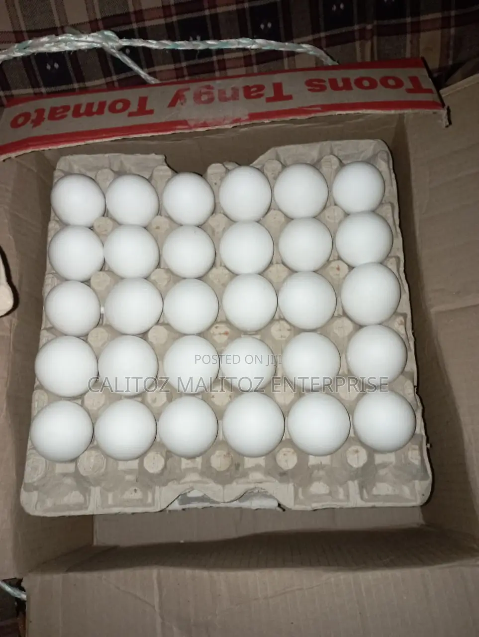 White Leghorn Eggs