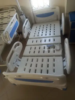 Electric Three Function Bed