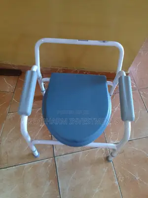 Commode Chair: Toilet Seat