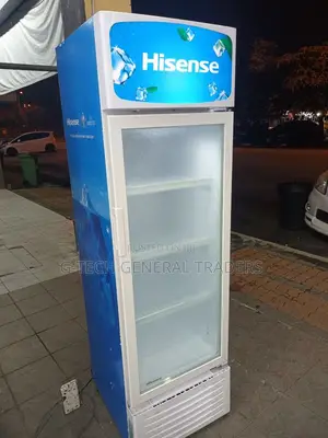 Showcase Refrigerator!Hisense 242l Showcase Fridge With Lock