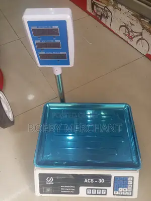 The Acs 30 Digital Weighing Scale