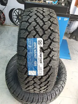 265/65r17 Lancaster All-Terrain