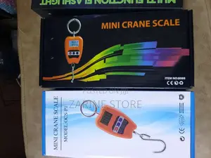 Crane Weighing Scale, Measuring Upto 200kg/400lb