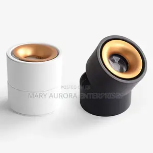 COB Downlighters/Spotlight/Surface Mount Downlighters
