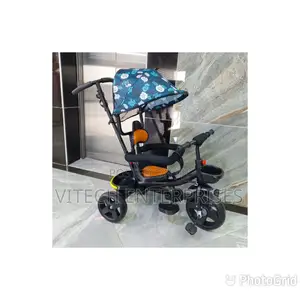 Tricycle Push With Canopy