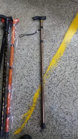 Walking Stick