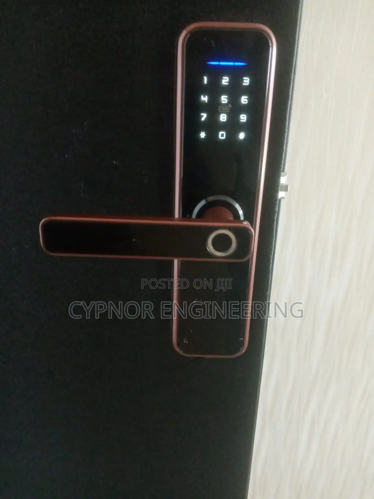 Biometric Smartlock for Convenient Keyless Entry