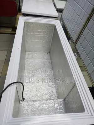 Double Door Freezer