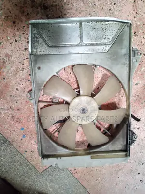 Toyota Platz Radiator Fun