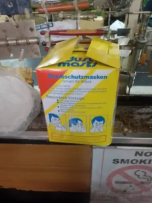 Disposable Dust Masks