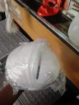 Disposable Dust Masks