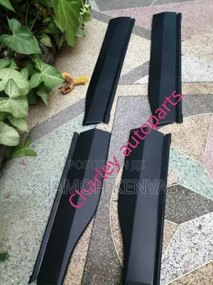 Door Moulding Toyota RAV4 2020