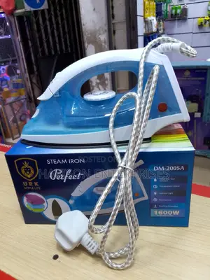 Best Steam Iron Box(1600W)