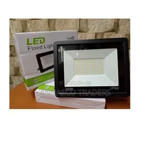 Electric 50 Watts AC Floodlight/Security Light