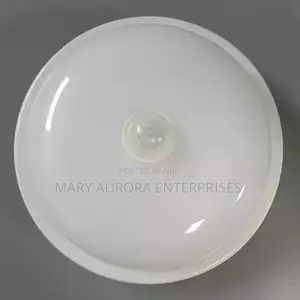 Wall Lamp/ Bulk Head/Sensor Light